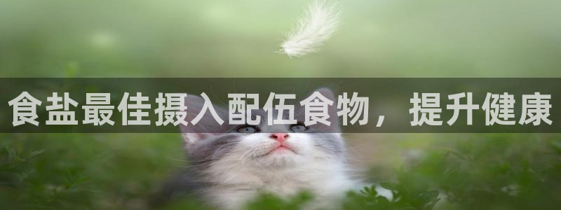 威九国际网站客服电话多少