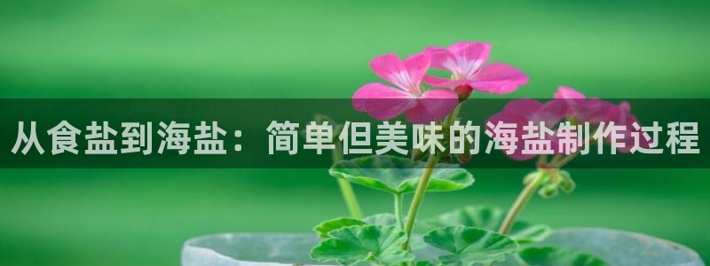 78mapp威九国际人民网