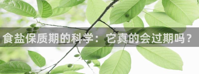 威九国际人民网招聘