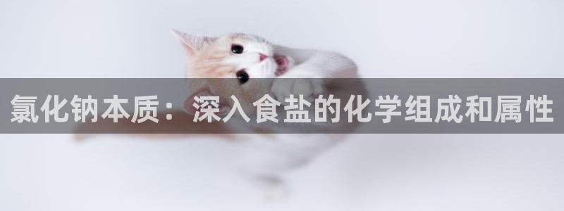 威九国际66m66m