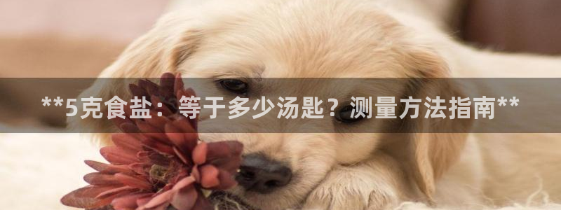 78mapp威九国际成长视频