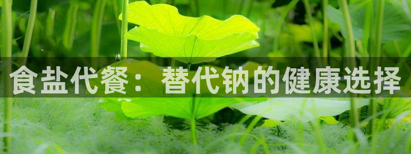 威九国际第一页