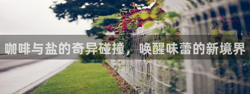 威九国际78mapp官网版下载