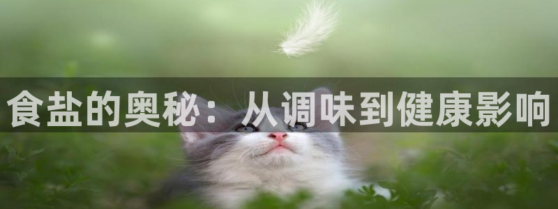 威九国际软件公司简介