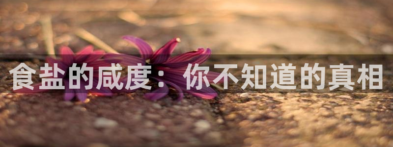 威九国际的金融服务