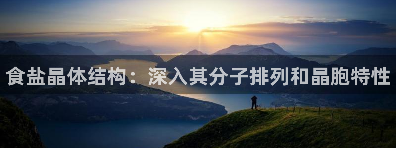 威九国际软件：食盐晶体结构：深入其分子排列和晶胞特性