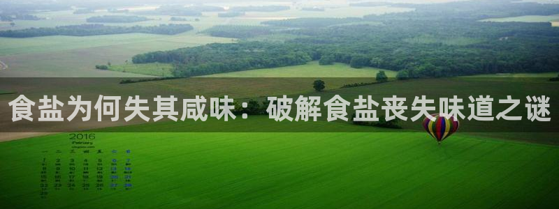 威九国际演员表