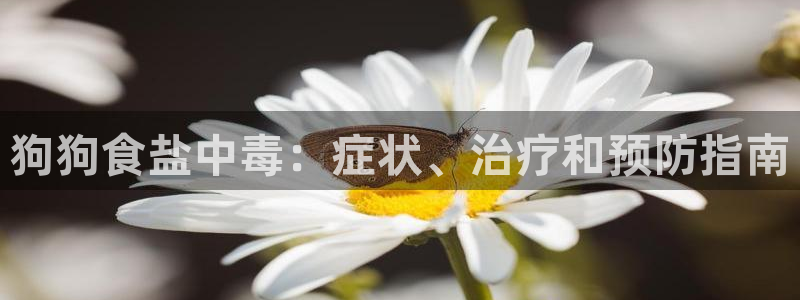 威九国际ft