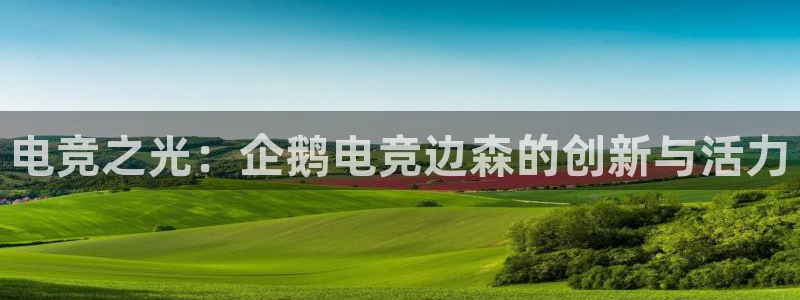 小艾电竞app下载官网