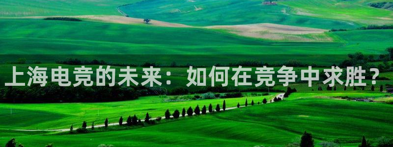 小艾电竞网页版登录