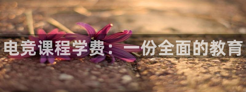 小艾电竞