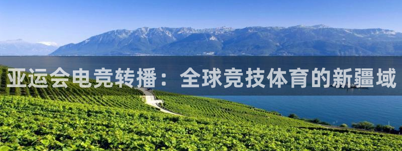 小艾电竞网页版登录