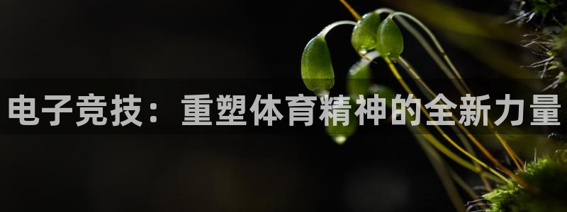 小艾电竞app下载官网