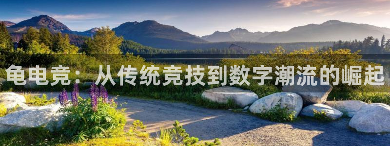 小艾电竞平台